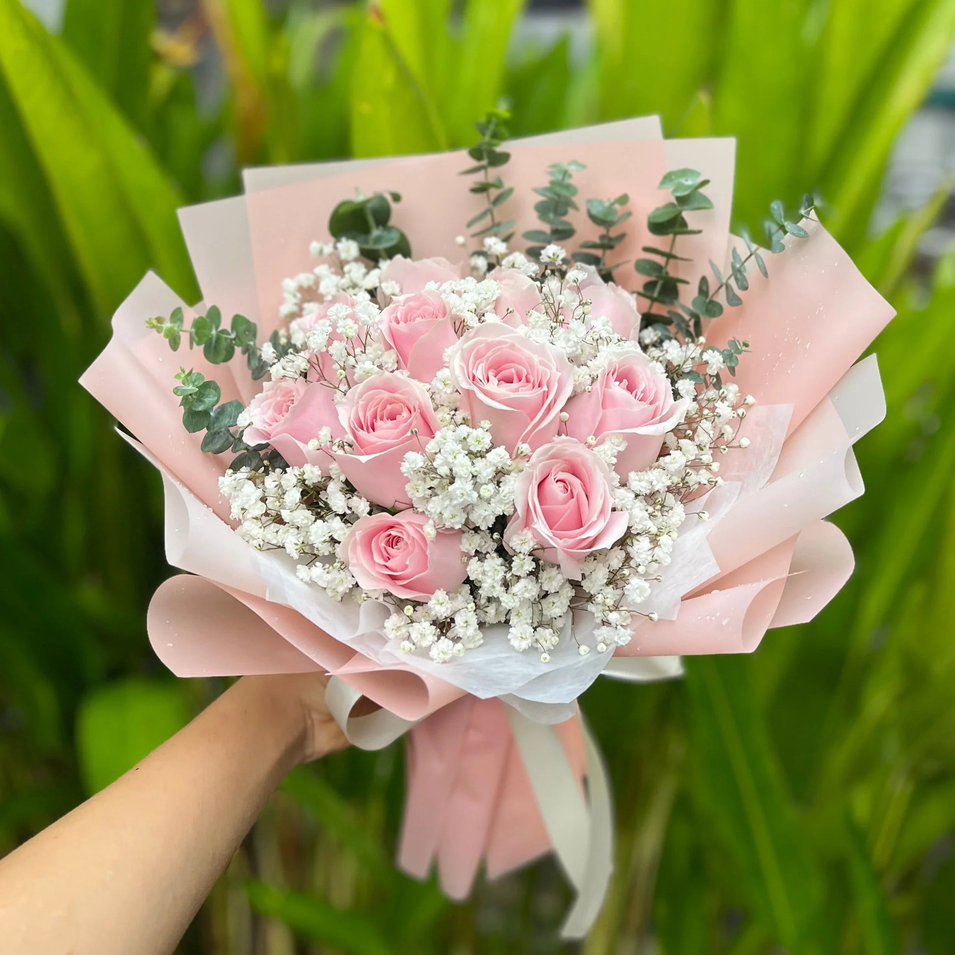 Premium Roses
