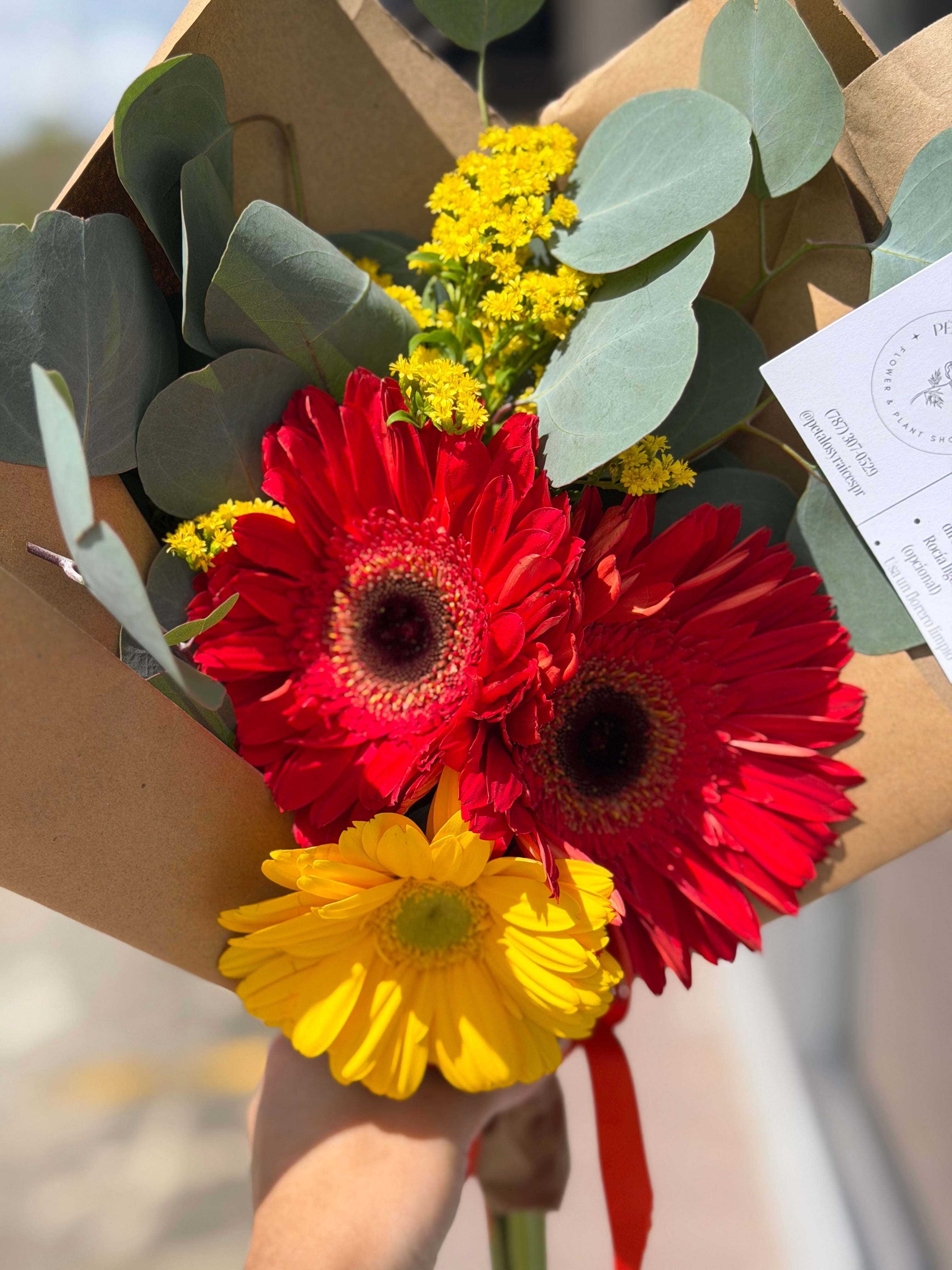 Basic Gerberas